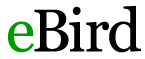 eBird-logo